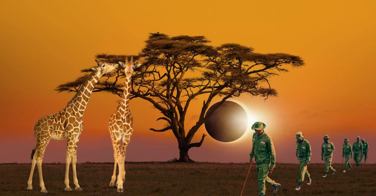 World Rangers Day Wajir 2025 | Powering Conservation