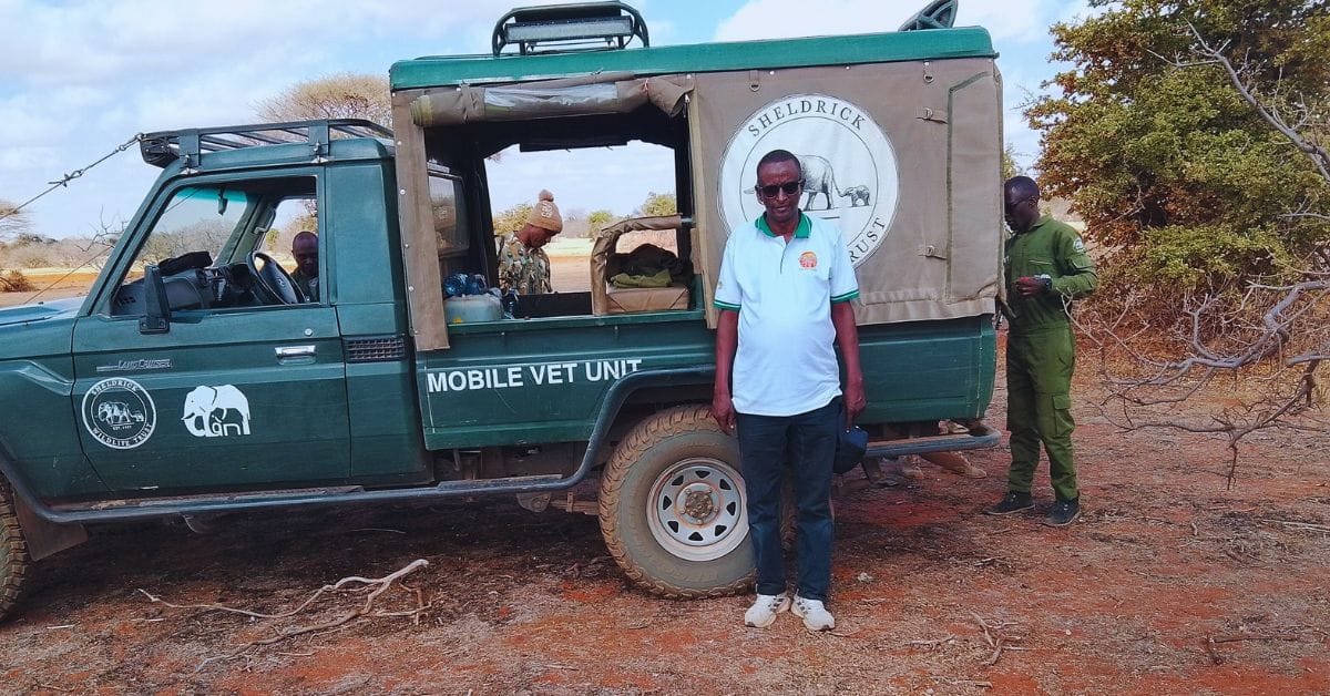 Giraffe Conservation in Wajir | Tackling Disease & Drought