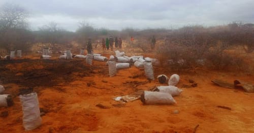 Illegal Charcoal Trade in Wajir: Combating Forest Destruction in Qajaja Area
