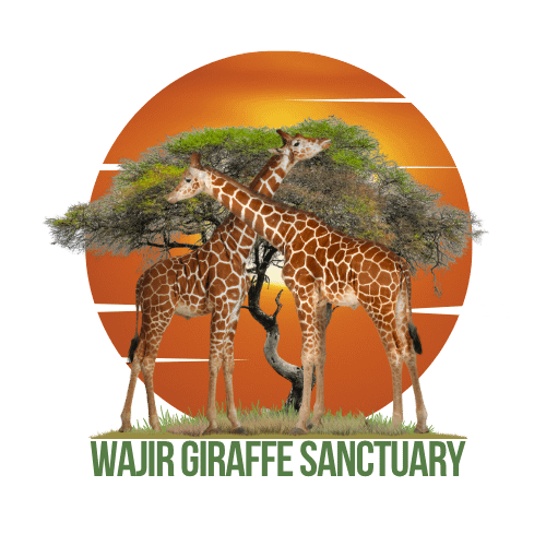 Wajir Giraffe Sanctuary Logo